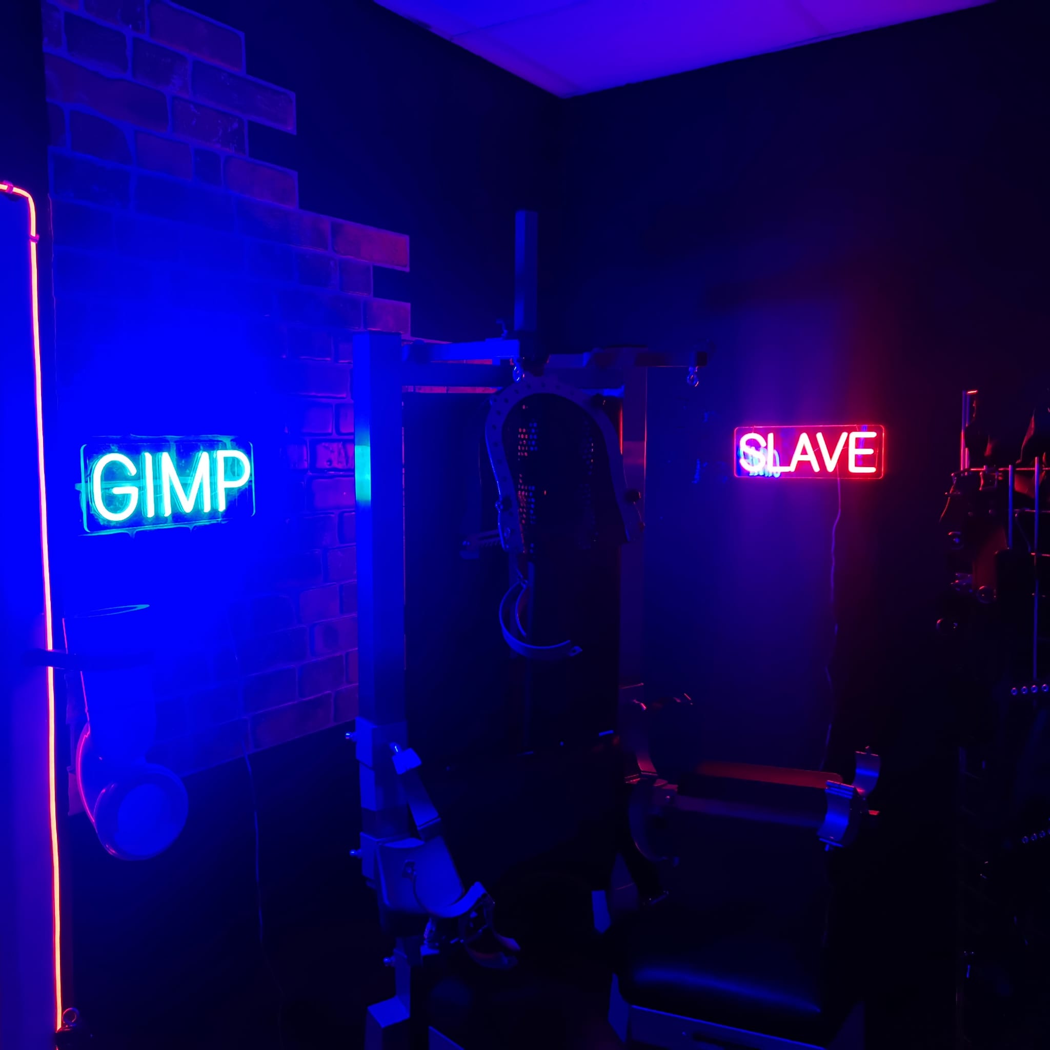 gimpslave